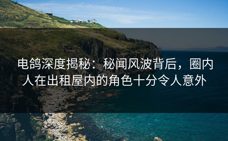 电鸽深度揭秘：秘闻风波背后，圈内人在出租屋内的角色十分令人意外