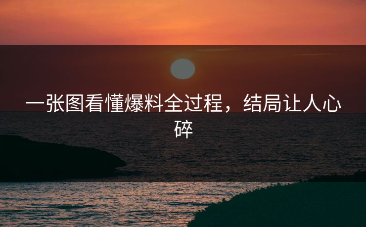一张图看懂爆料全过程，结局让人心碎