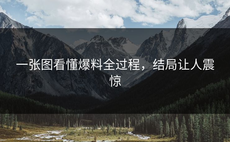 一张图看懂爆料全过程，结局让人震惊