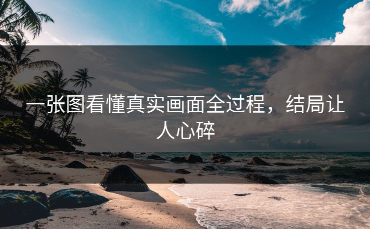 一张图看懂真实画面全过程，结局让人心碎