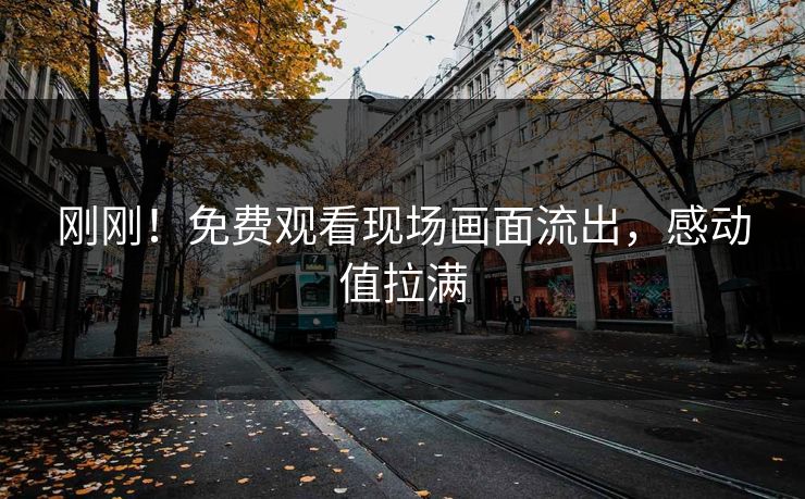 刚刚！免费观看现场画面流出，感动值拉满