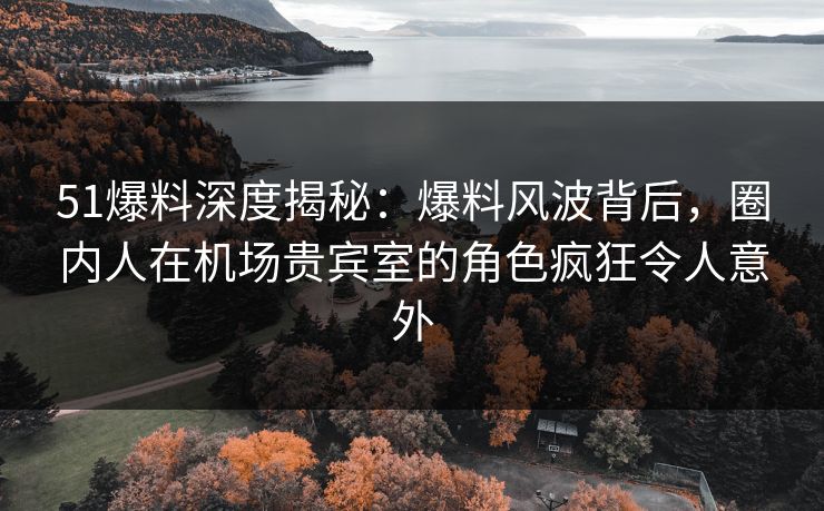 51爆料深度揭秘：爆料风波背后，圈内人在机场贵宾室的角色疯狂令人意外